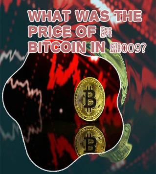 Bitcoin coin price