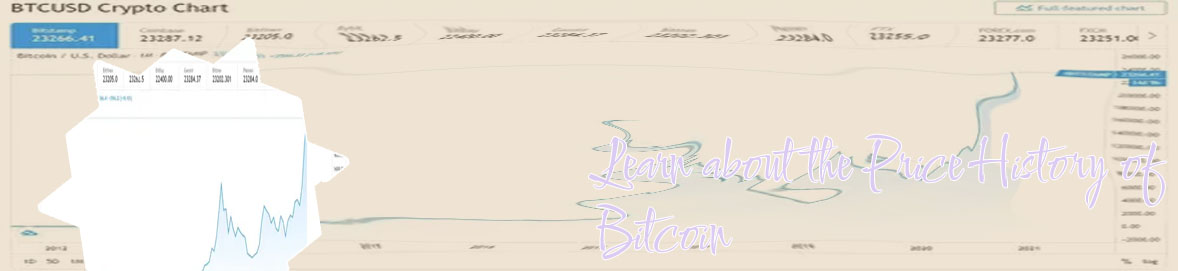 First price of bitcoin