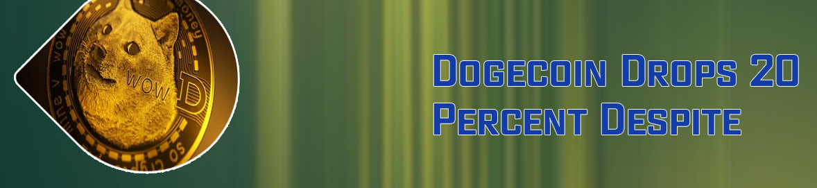 Should i hold onto dogecoin